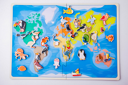 Липучка карта Птицы