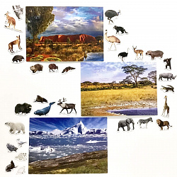 Магнитное развивающее пособие "Кто где живёт." (Африка-Арктика-Австралия)