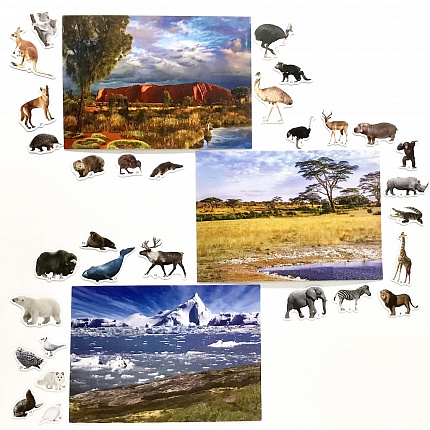 Магнитное развивающее пособие "Кто где живёт." (Африка-Арктика-Австралия)
