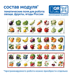 Модуль "Овощи, фрукты, ягоды России"