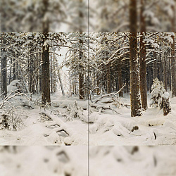 Репродукция картины И.И. Шишкин "Зима"  Декорация / Занавес сцены