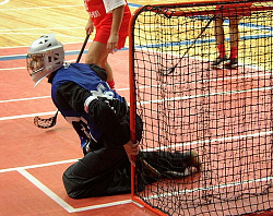 Сетка для флорбольных ворот СТАНДАРТНАЯ, d=2.2мм.