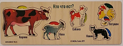 Кто где живет? (доска Сегена)