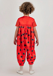 Божья коровка / Песочник малышковый