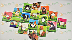 Игровой набор ГДЕ ЧЬЯ ШКУРКА (по методике Сегена)