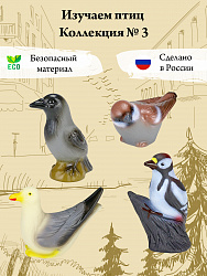 Изучаем птиц. Коллекция 3