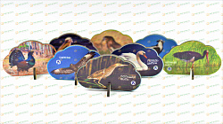 Набор фигурок ЖИВОТНЫЙ И РАСТИТЕЛЬНЫЙ МИР ПОВОЛЖЬЯ хдф