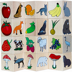 Окружающий мир