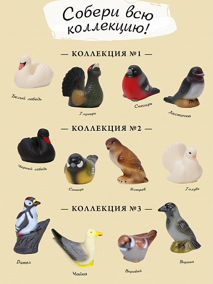 Изучаем птиц. Коллекция 3