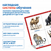 Модуль "Животные России"