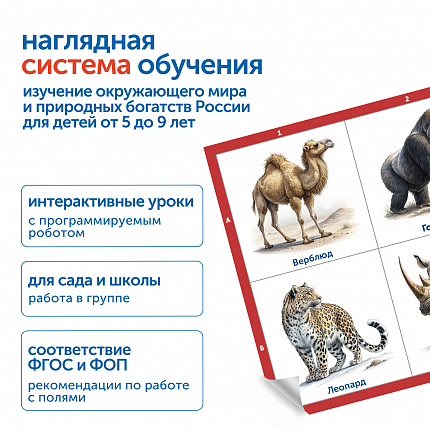Модуль "Животные России"