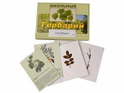 Гербарий "Деревья и кустарники" (22 вида, с иллюстрациями)