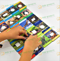 Игровой набор ЖИВОТНЫЙ И РАСТИТЕЛЬНЫЙ МИР ПОВОЛЖЬЯ (по методике Сегена) (ХДФ УФ печать)