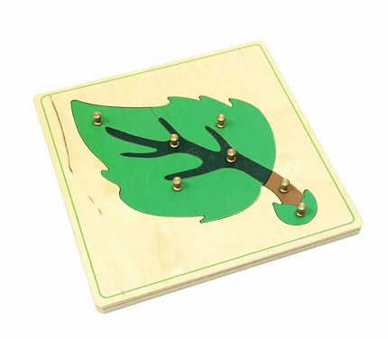 Ботанические рамки-вкладыши