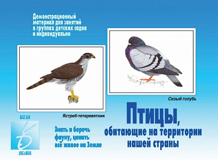 «Птицы нашей страны»