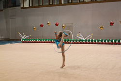 Ковер гимнастический соревновательный (толщ. 10мм. на войлочной основе) 14х14м.