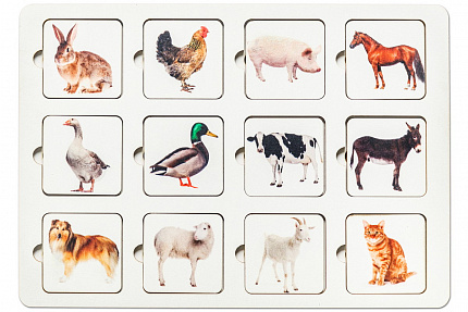 Дидактическая игра "Секретики "Ферма"