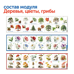 Природные богатства России с РобоМышью с системой хранения (2 робота)