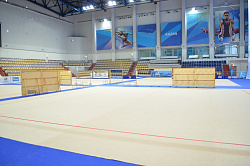 Ковер гимнастический соревновательный (толщ. 10мм. на войлочной основе) 14х14м.