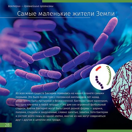 (RU) Книга знаний «Невидимый мир», мягкая обложка