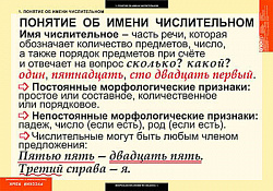 Таблицы демонстрационные "Русский язык. Числительное и местоимение"