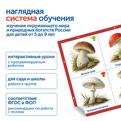 Модуль "Деревья, цветы, грибы России"