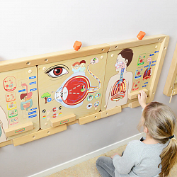 Панель "Пищеварительная система"