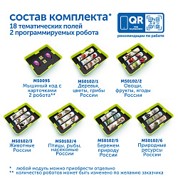 Природные богатства России с РобоМышью с системой хранения (4 робота)