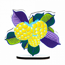 Золотой плод, Игры Воскобовича