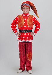 Гном костюм для детей