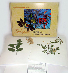 Гербарий "Деревья и кустарники" (20 видов) формат А-3