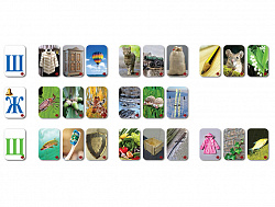 Набор магнитных карточек "Звуковозик" (Щ, Ж, Ш)