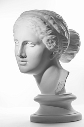 Гипсовая голова Венера Милосская