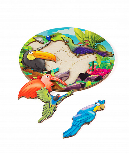 Вкладыш
Птицы