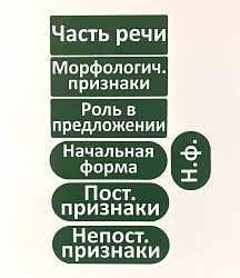 Набор магнитных карточек "Общие термины (морфологический разбор)"