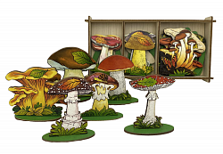 Набор "Грибы на подставке" в дер. коробке 36 деталей