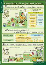 Таблицы демонстрационные "Биология 10-11 классы. Эволюционное учение"