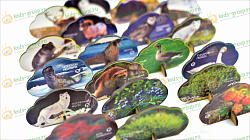 Набор фигурок ЖИВОТНЫЙ И РАСТИТЕЛЬНЫЙ МИР СЕВЕРА хдф