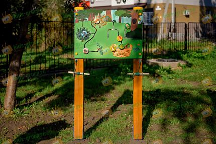 Комплекс бизибордов «Флора и фауна Алтайского края»