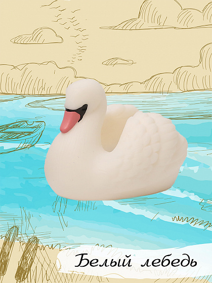 Изучаем птиц. Коллекция 1