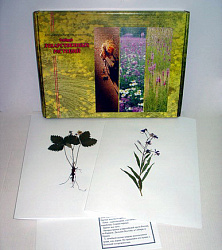 Гербарий "Лекарственные растения" (20 видов) формат А-3