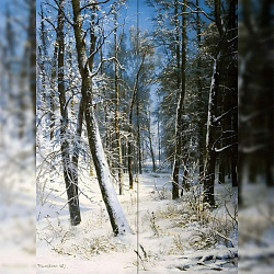 Репродукция картины И.И. Шишкин "Зима в лесу, иней"  Декорация / Занавес сцены