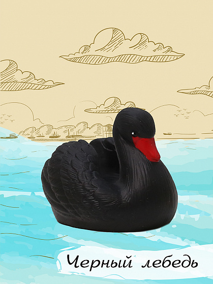 Изучаем птиц. Коллекция 2