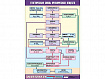 Таблица демонстрационная "Генетическая связь органических веществ" (винил 70x100)