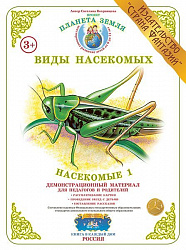 Демонстрационный материал "Насекомые 1" Страна Фантазий