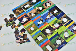 Игровой набор ЖИВОТНЫЙ И РАСТИТЕЛЬНЫЙ МИР ПОВОЛЖЬЯ ХДФ (по методике Сегена)