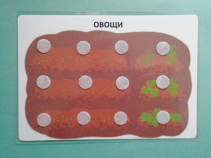 Пособие ПЕКС. Пособие "ОВОЩИ и ФРУКТЫ"